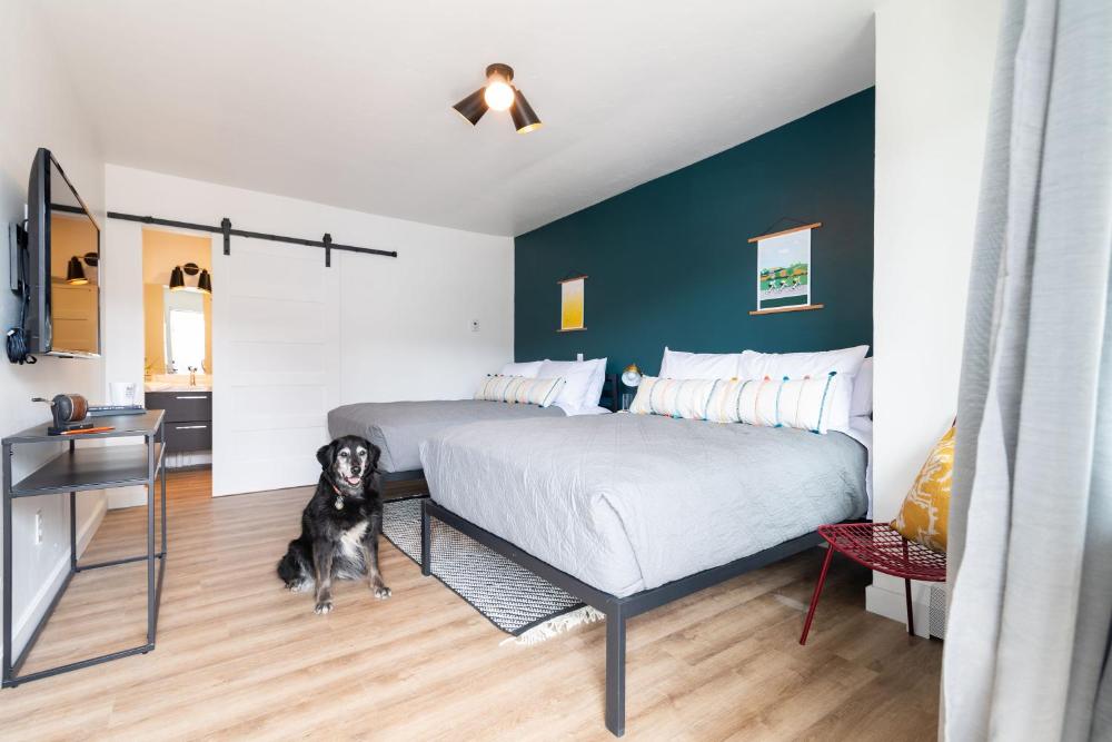 Deluxe Double Room interior